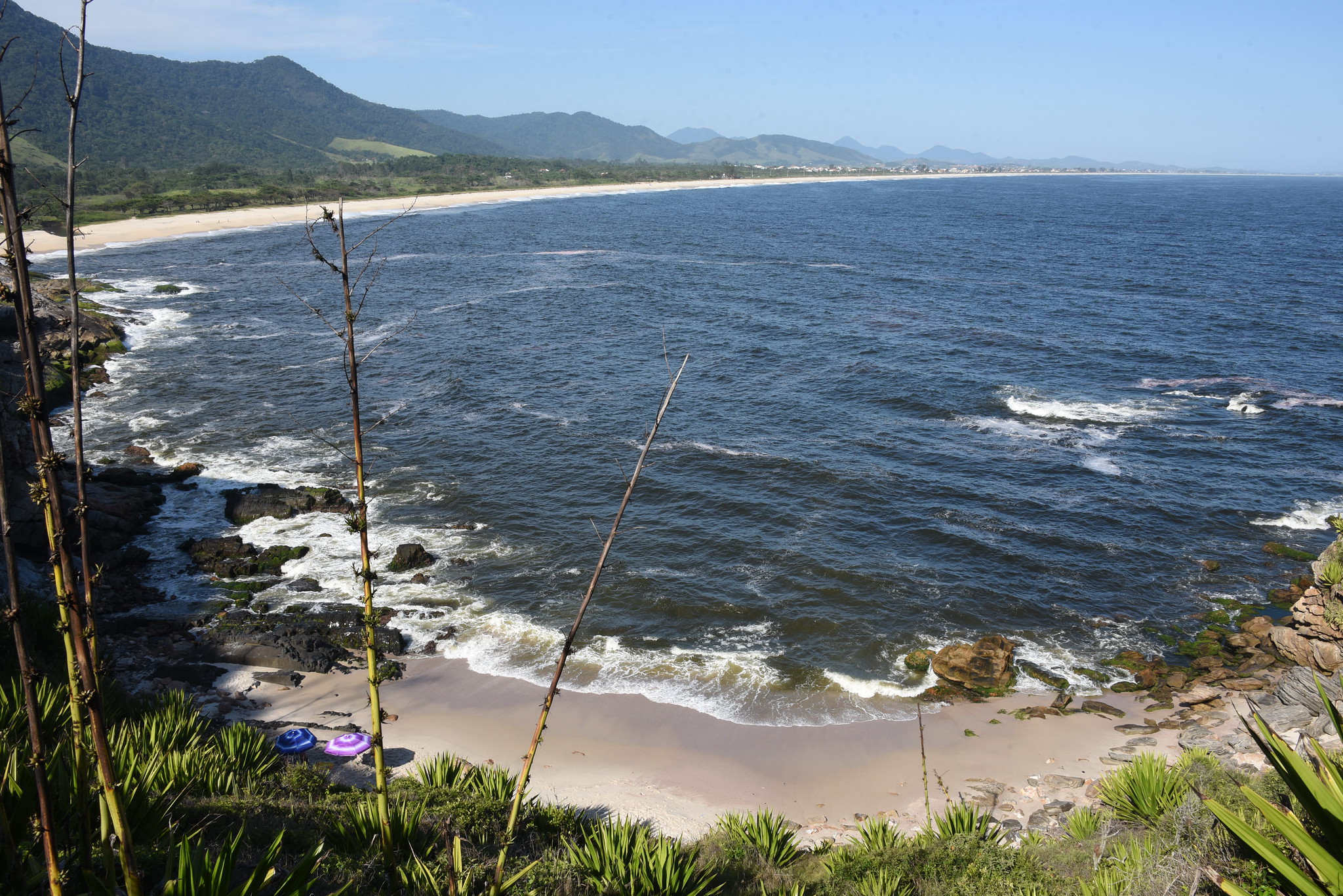 Biblioteca Ambiental