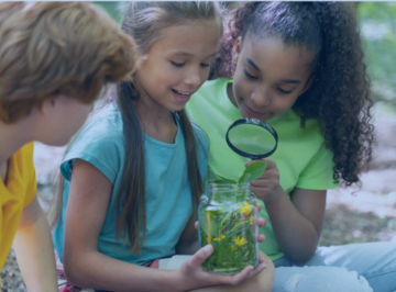 Coletânea Neurociências e Educação Ambiental